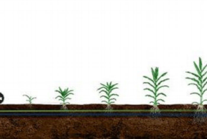 Культиватор Стрип-Тилл Strip-till полосная обработка с внесением удобрений Orthman
