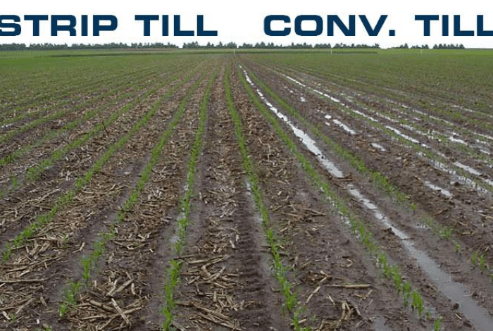 Культиватор Стрип-Тилл Strip-till полосная обработка с внесением удобрений Orthman